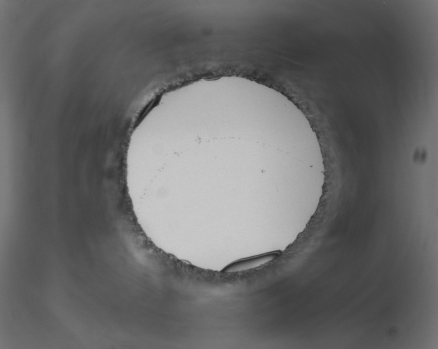 X0000116570144200912312001