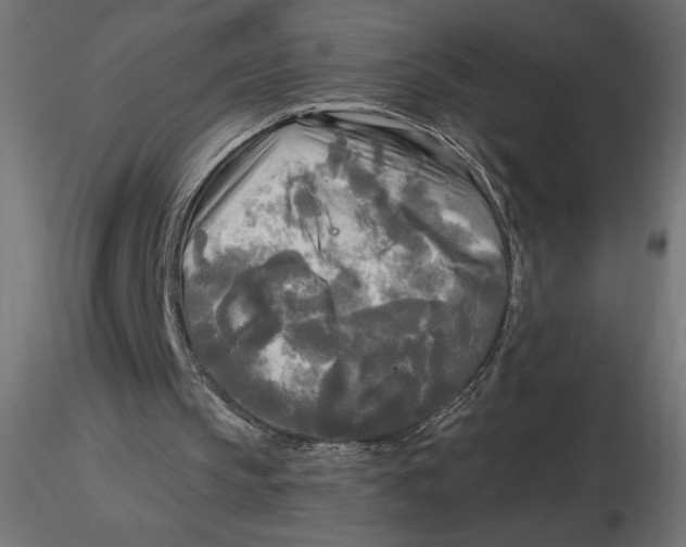 X0000116570145200912312000