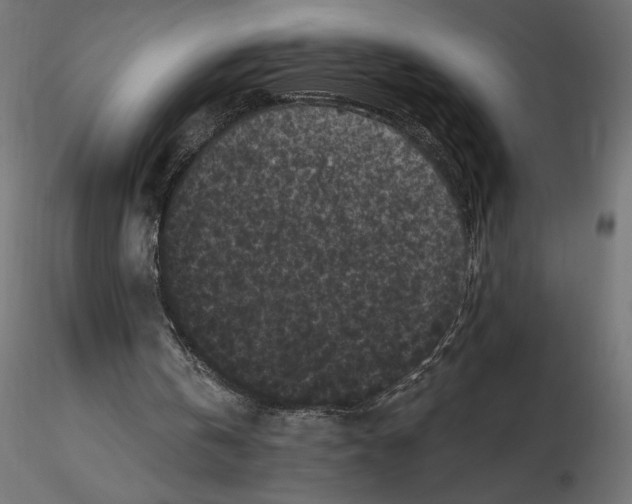 X0000116570146200912312000