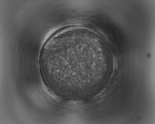 X0000116570147200912312000