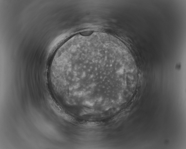 X0000116570149200912312000