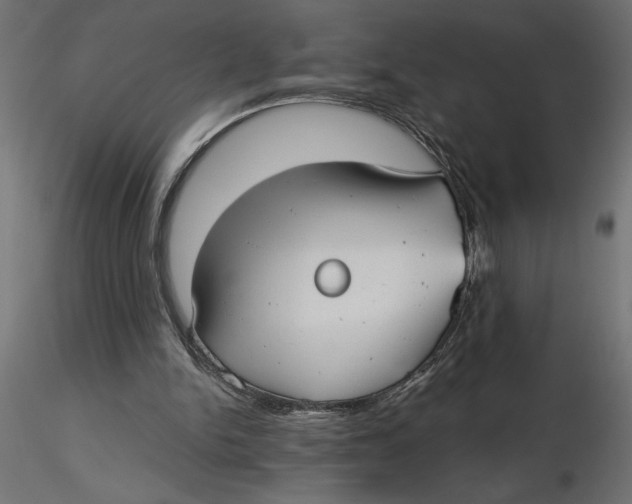 X0000116570150200912312000