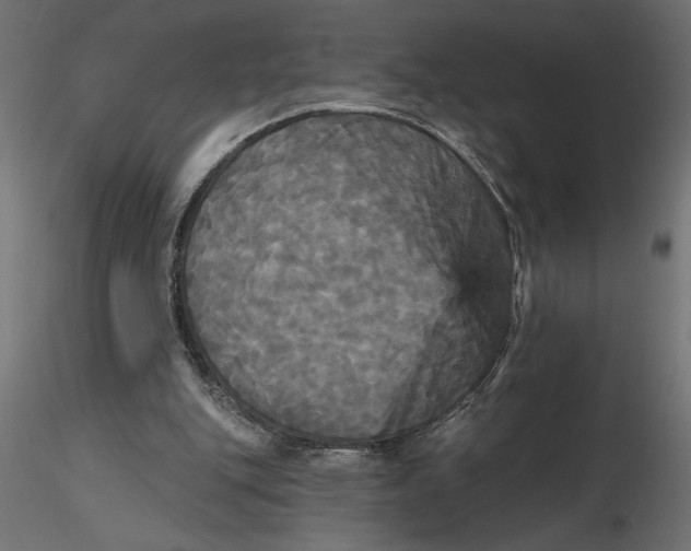 X0000116570151200912312000