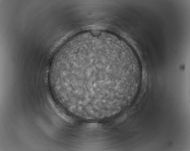 X0000116570153200912312001