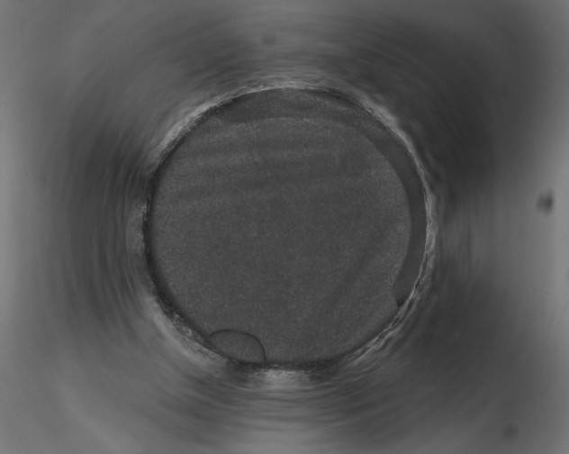 X0000116570154200912312001