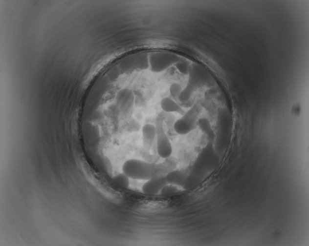 X0000116570155200912312001