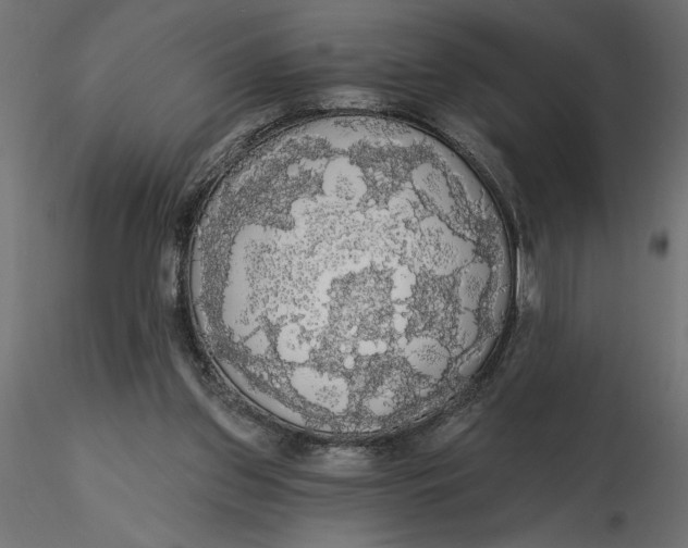 X0000116570157200912312001