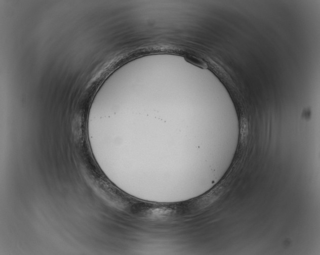 X0000116570158200912312001