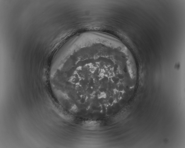 X0000116570161200912312001