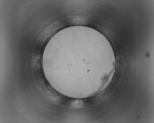 X0000116570162200912312001