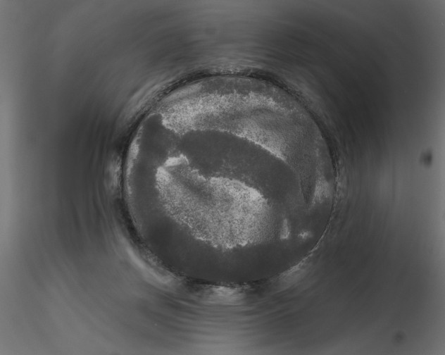 X0000116570166200912312001