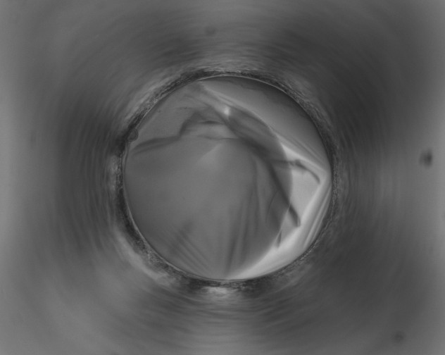 X0000116570167200912312001