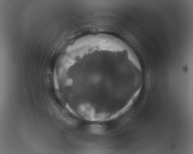 X0000116570169200912312001