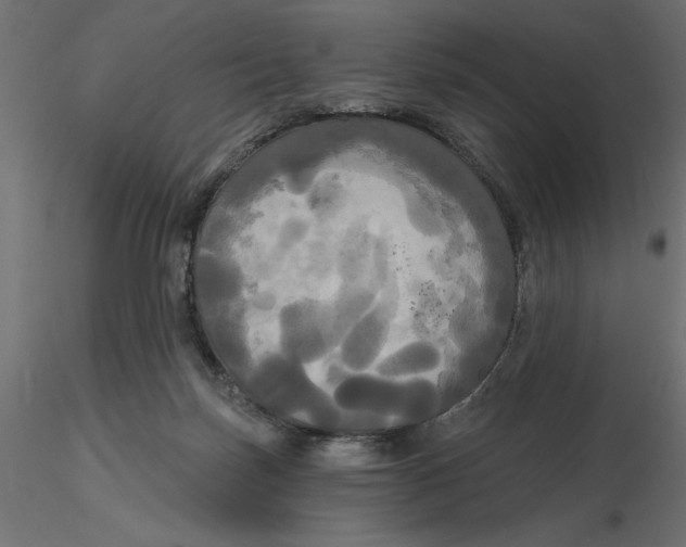 X0000116570171200912312001