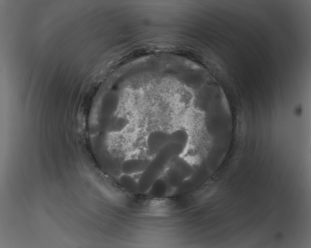 X0000116570173200912312001