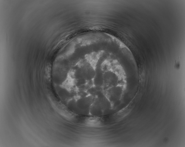 X0000116570175200912312001