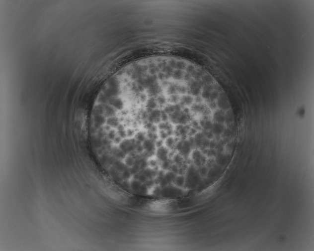 X0000116570178200912312001