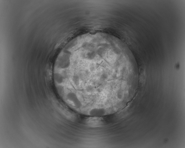 X0000116570179200912312001