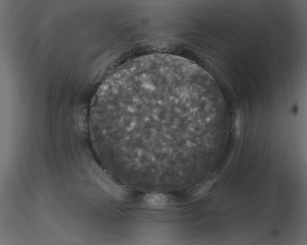 X0000116570181200912312001