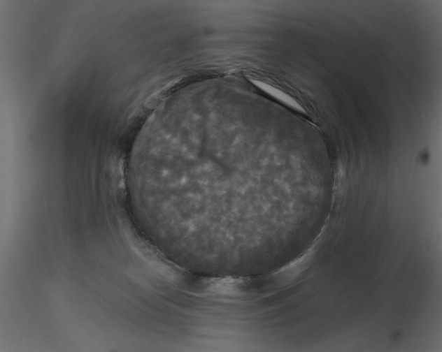 X0000116570182200912312001