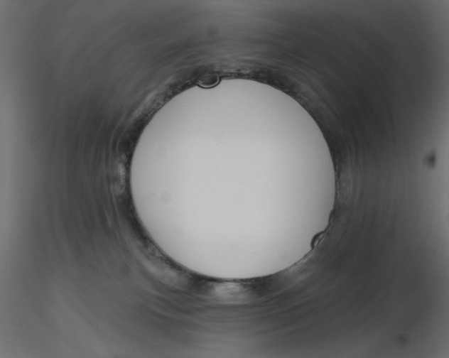 X0000116570183200912312001