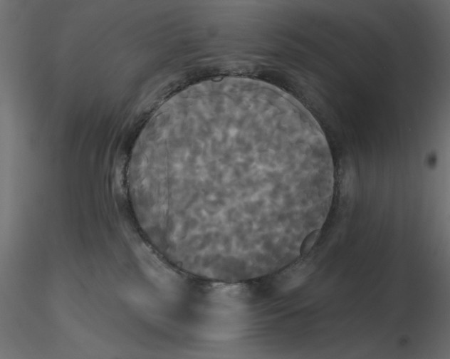 X0000116570185200912312001