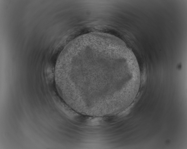 X0000116570186200912312001