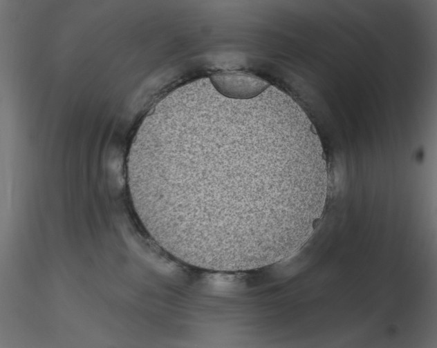 X0000116570187200912312001