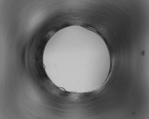 X0000116570190200912312001