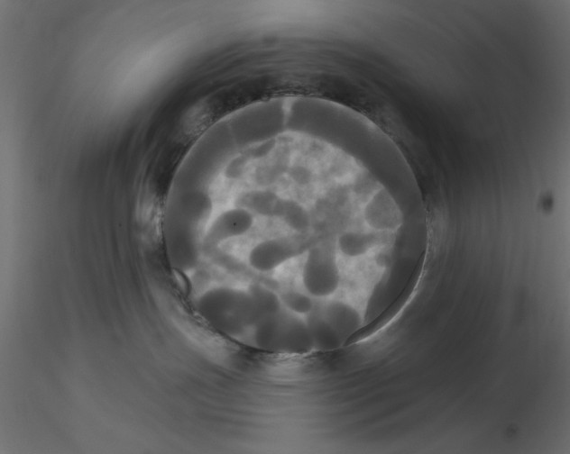 X0000116570191200912312001