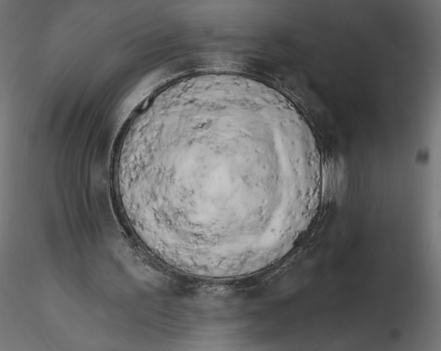 X0000116570195200912312000