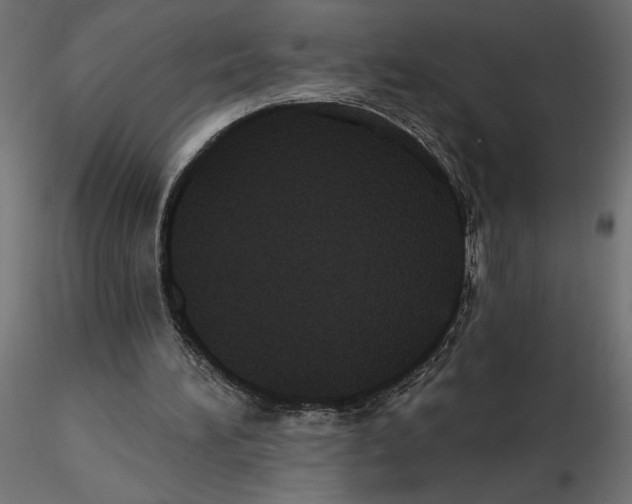 X0000116570196200912312000