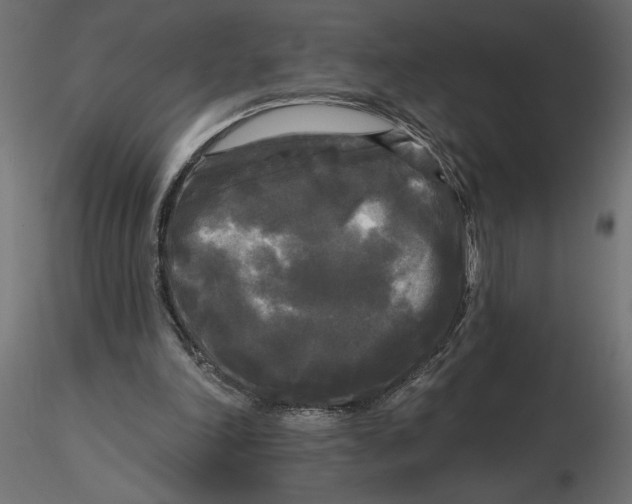 X0000116570198200912312000