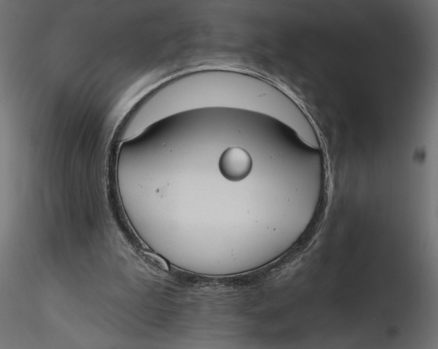 X0000116570199200912312000