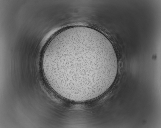 X0000116570200200912312000