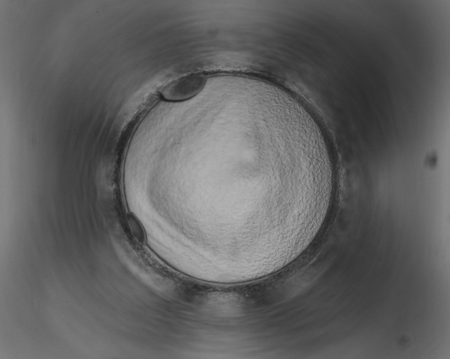 X0000116570203200912312000