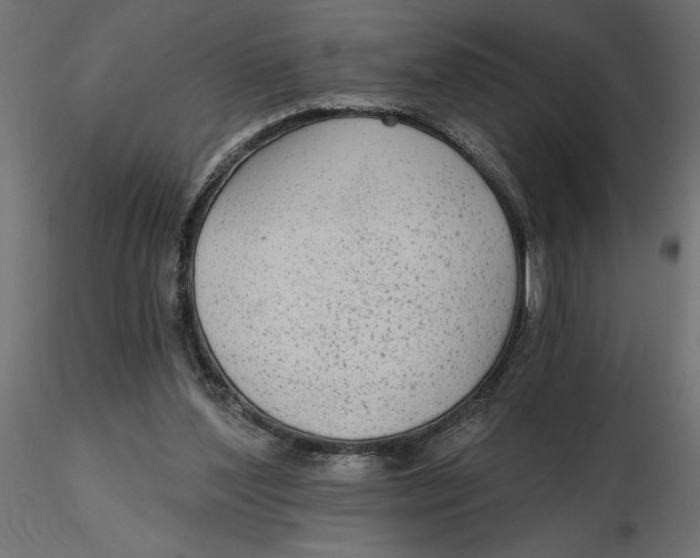 X0000116570204200912312000