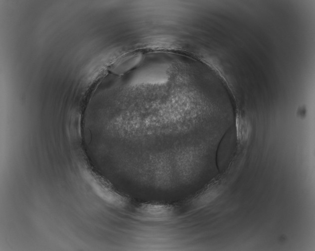 X0000116570205200912312000