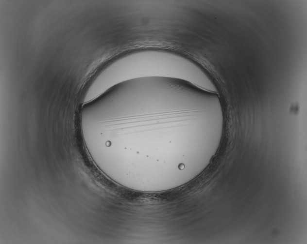 X0000116570207200912312000