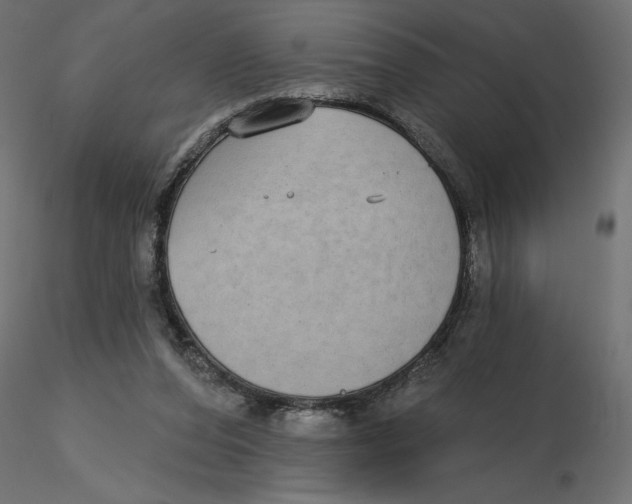 X0000116570208200912312000