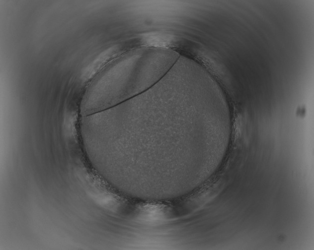 X0000116570209200912312000