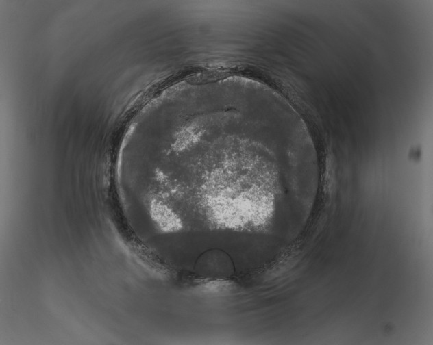 X0000116570210200912312000