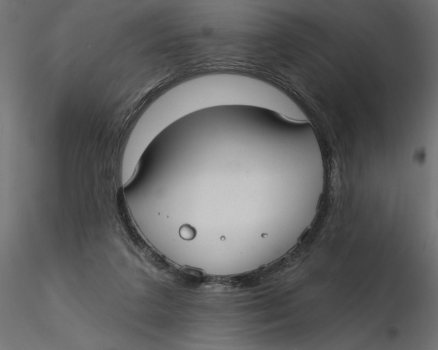 X0000116570211200912312000