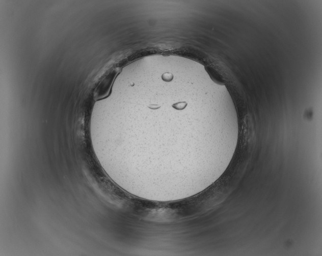 X0000116570212200912312000