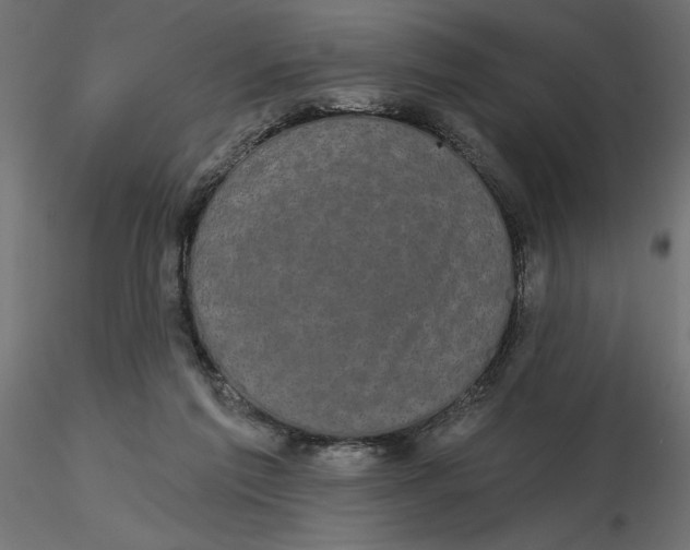 X0000116570213200912312000