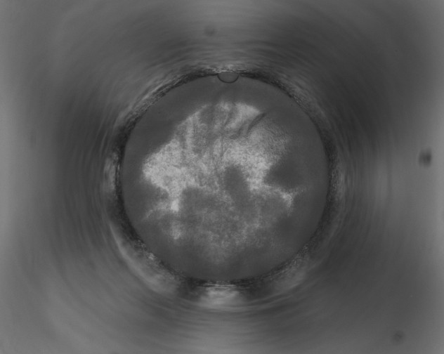 X0000116570214200912312000