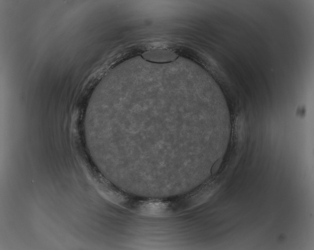 X0000116570217200912312000