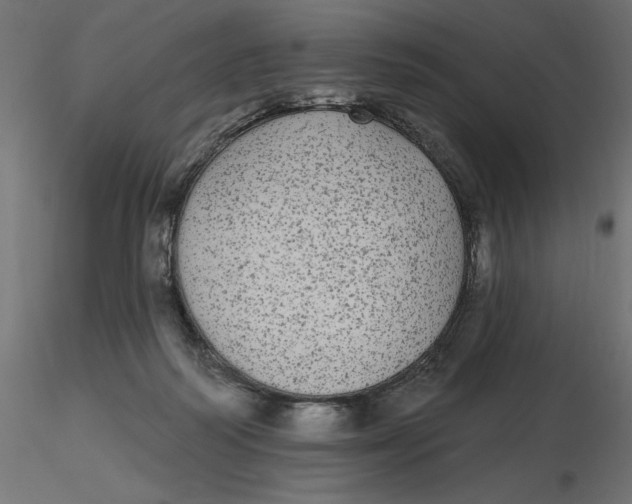 X0000116570218200912312000