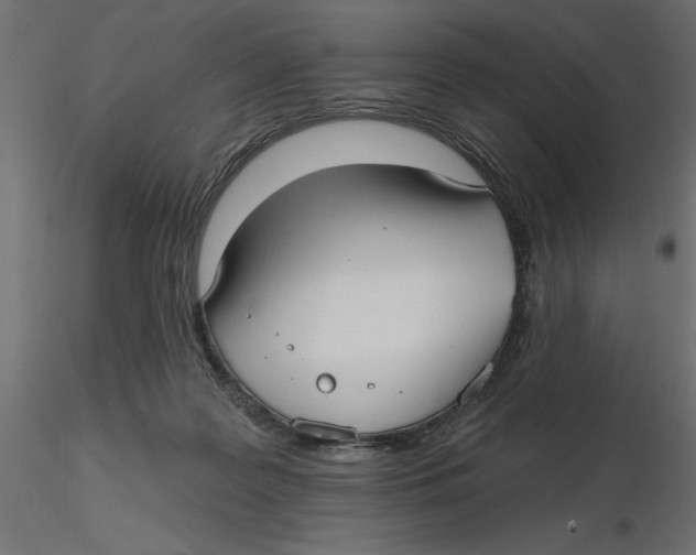 X0000116570219200912312000