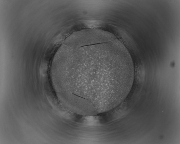 X0000116570221200912312000